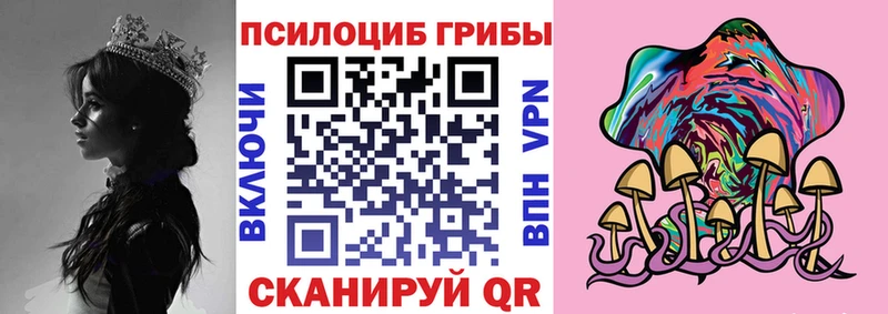 сколько стоит  Ирбит  Псилоцибиновые грибы GOLDEN TEACHER 