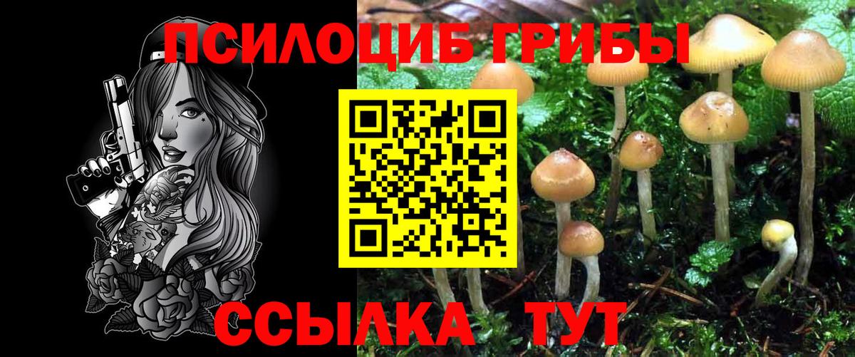 Галлюциногенные грибы мицелий  Вход с VPN  Ирбит 